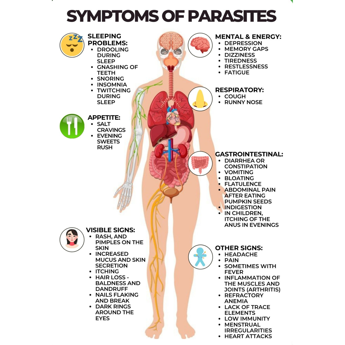IVERMECTIN & FENBENDAZOLE - Full Deworming Package