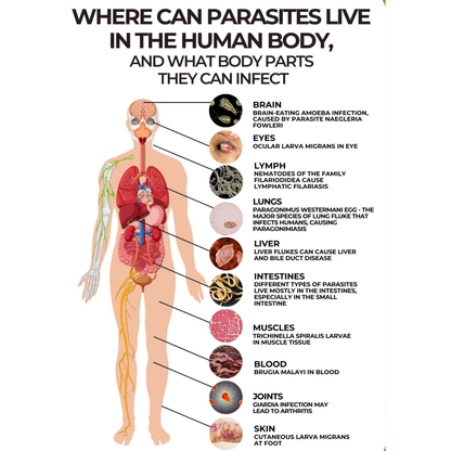 IVERMECTIN & FENBENDAZOLE - Full Deworming Package